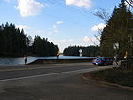 US-WA-lacamas lake-south east bank-tar